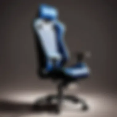 Ergonomic Features of DRLupo Chair