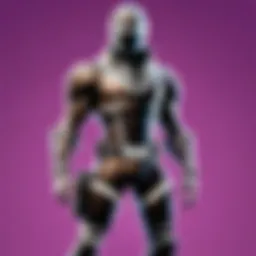 Virtual Fortnite account showcase